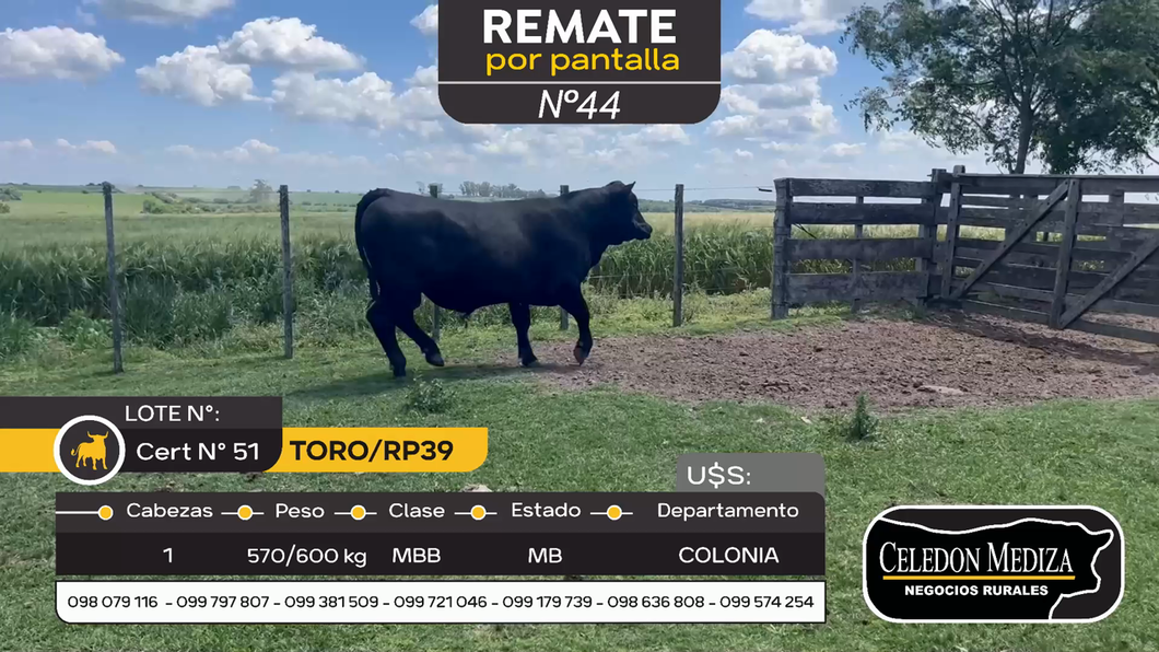 Lote Toro RP39 en Otra Localidad, Colonia