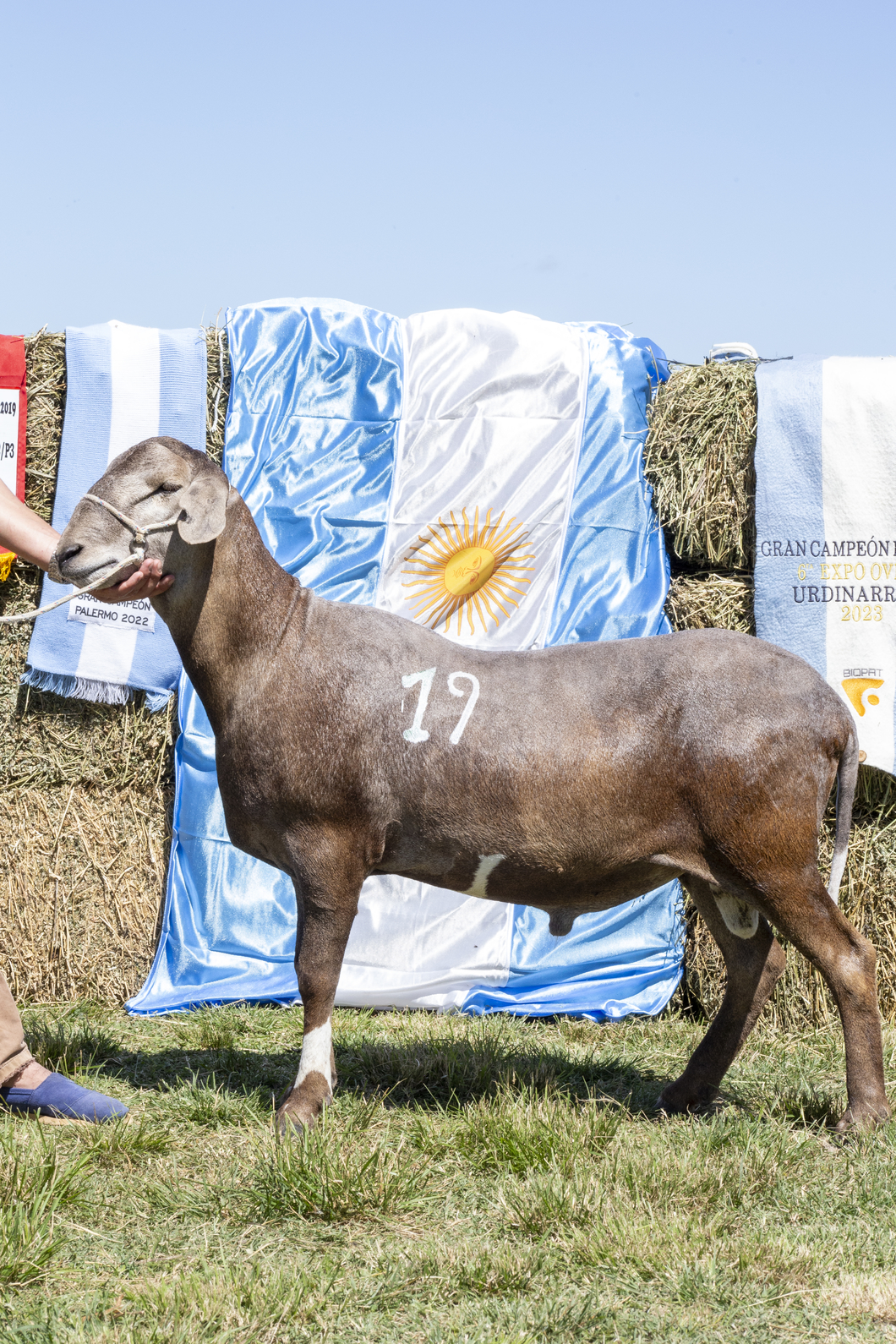 Lote SANTA INES P.P.C.