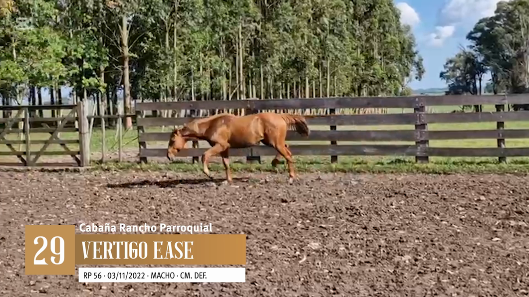 Lote Yeguarizos a remate en Entre Razas , San José