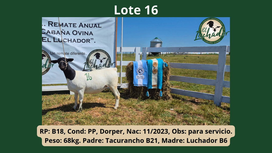 Lote PP
