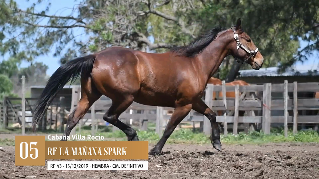 Lote Yeguarizos a remate en Entre Razas , San José