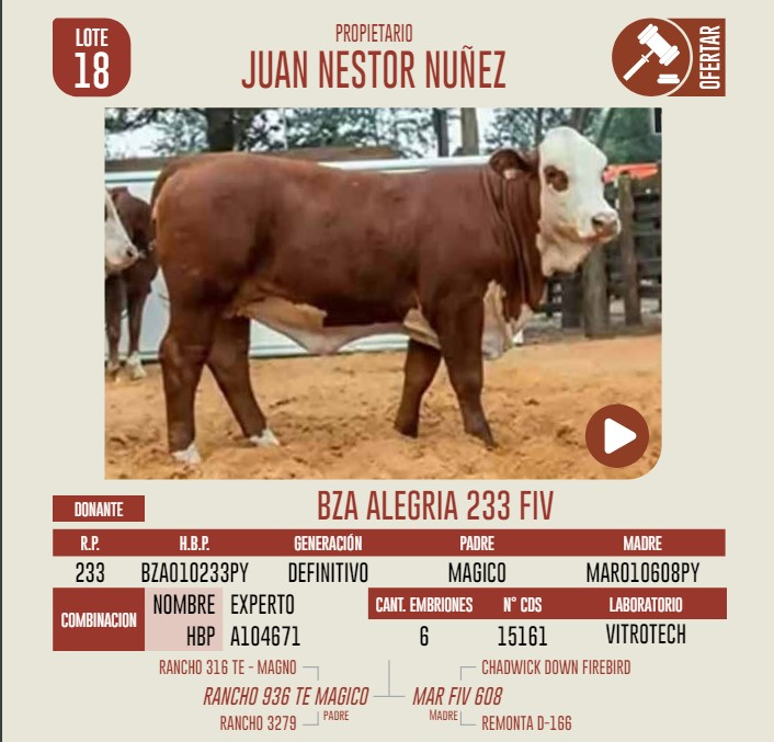 Lote LOTE 18