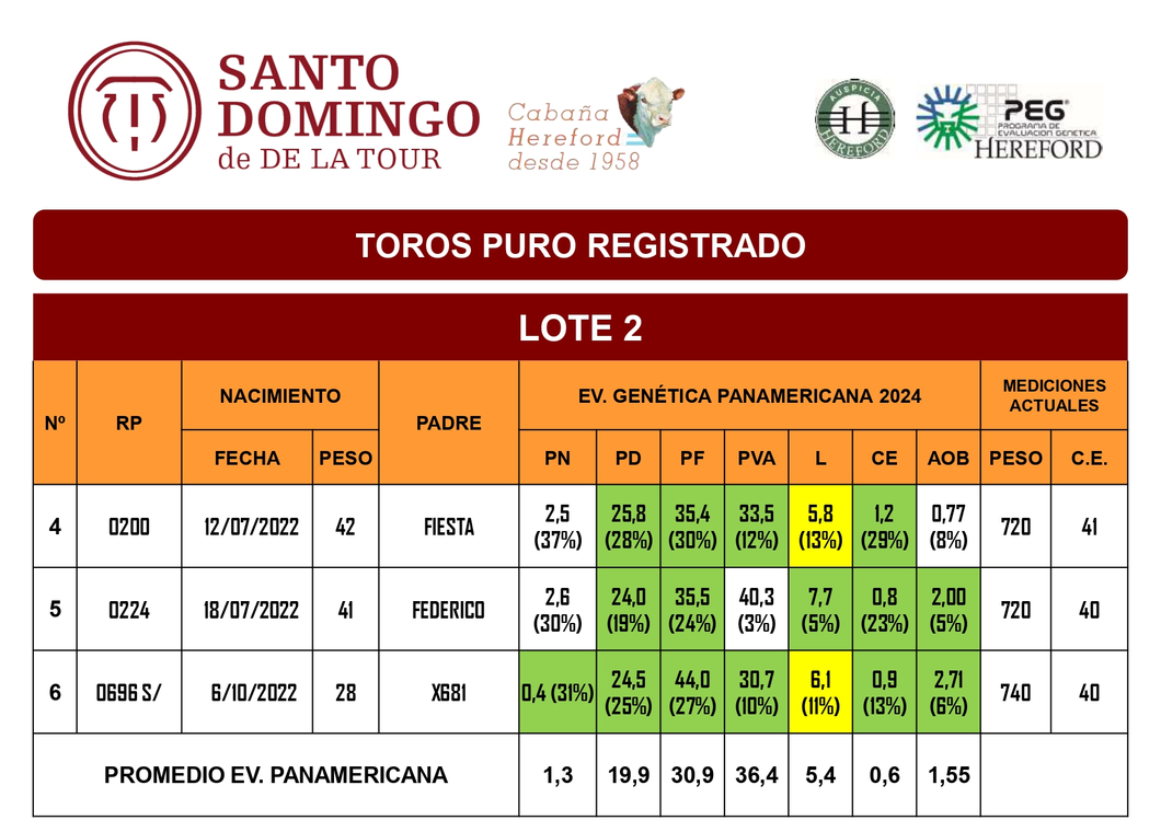 Lote TOROS PR (LOTES) - ( Incluye S/ )