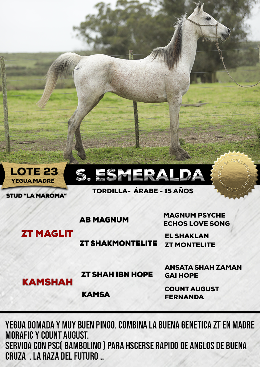 Lote S. ESMERALDA