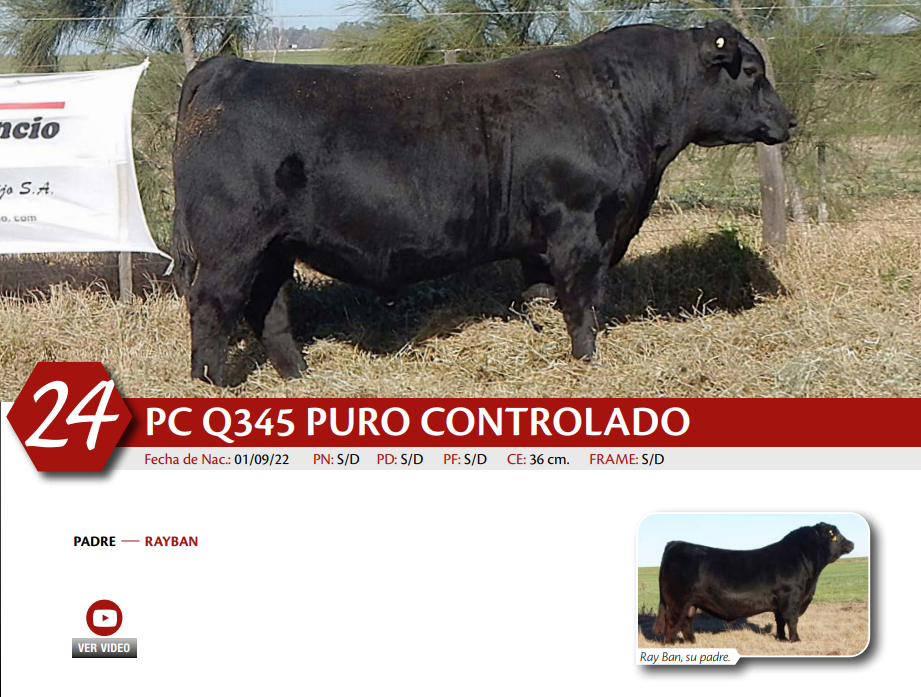 Lote MACHO PC