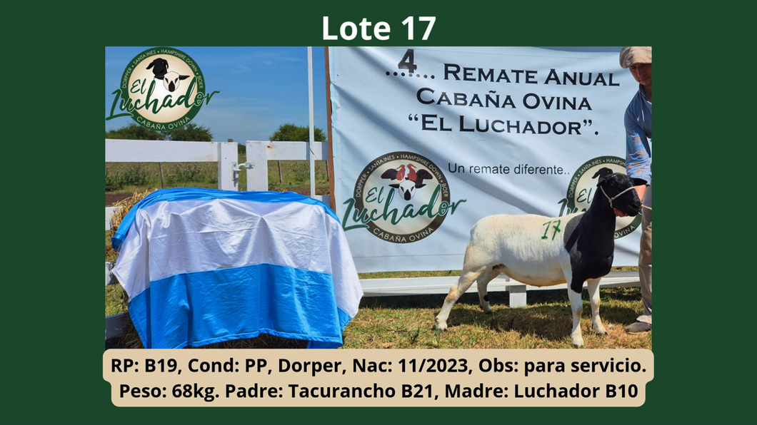 Lote PP