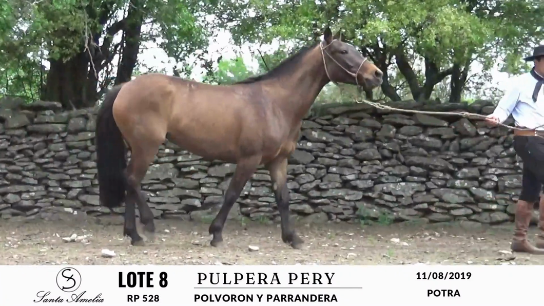 Lote PULPERA PERY