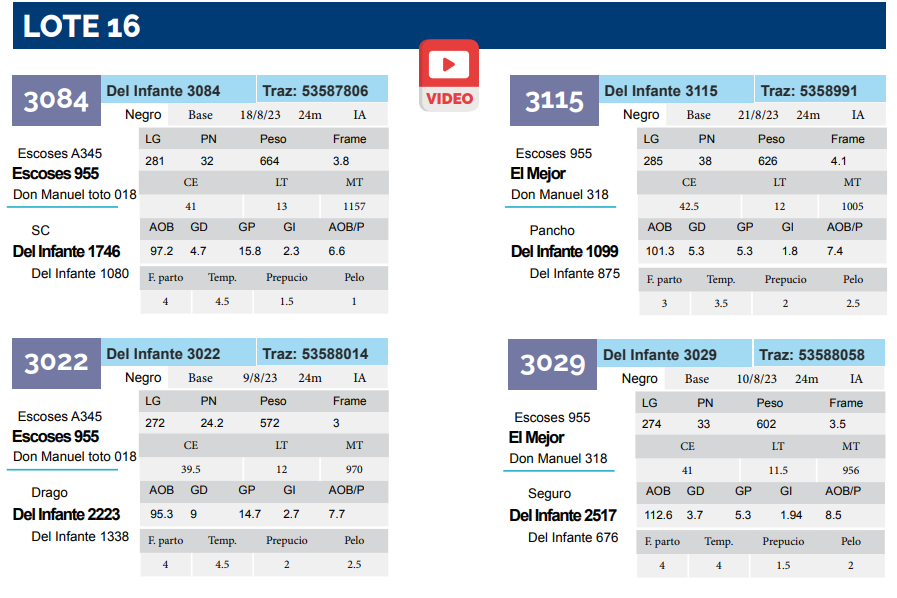 Lote Lote 16