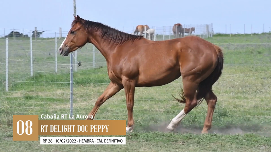 Lote Yeguarizos a remate en Entre Razas , San José