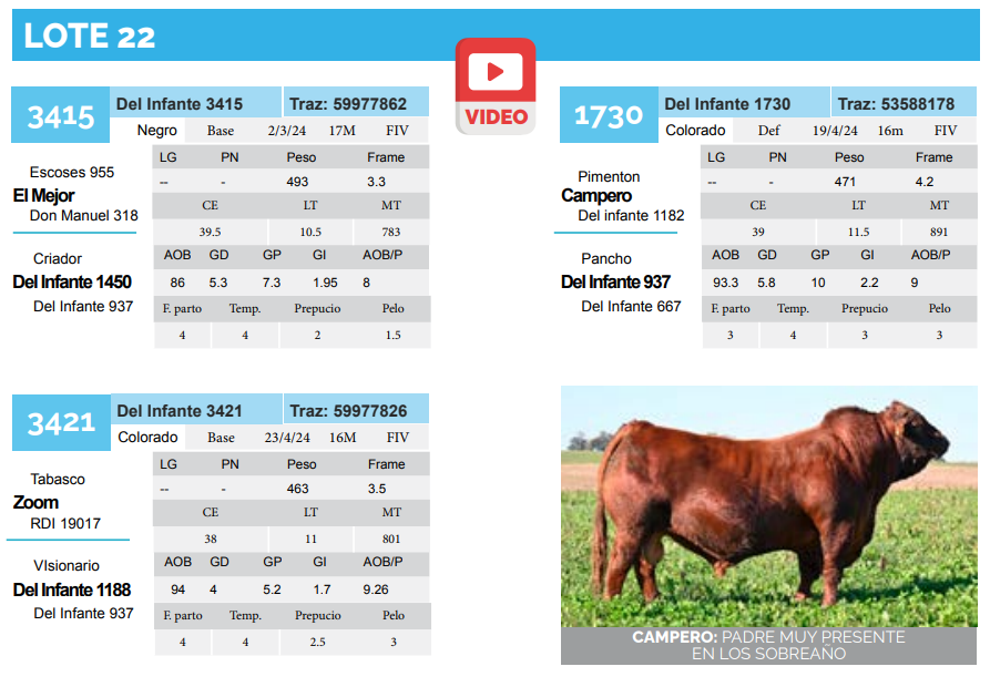 Lote Lote 22