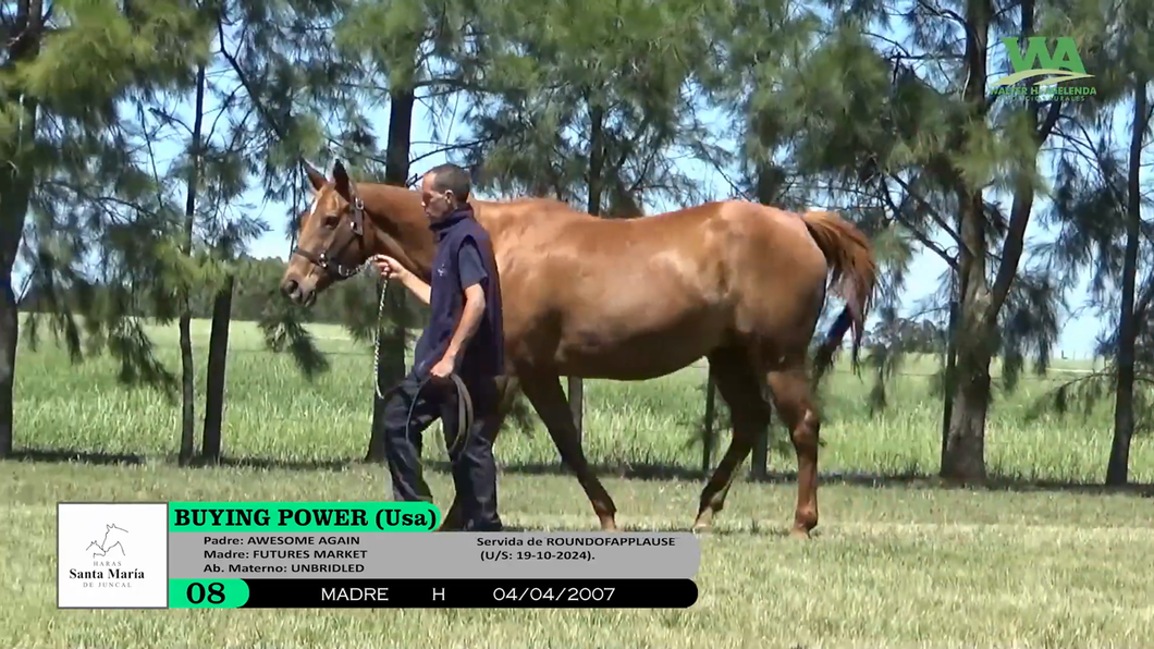 Lote BUYING POWER