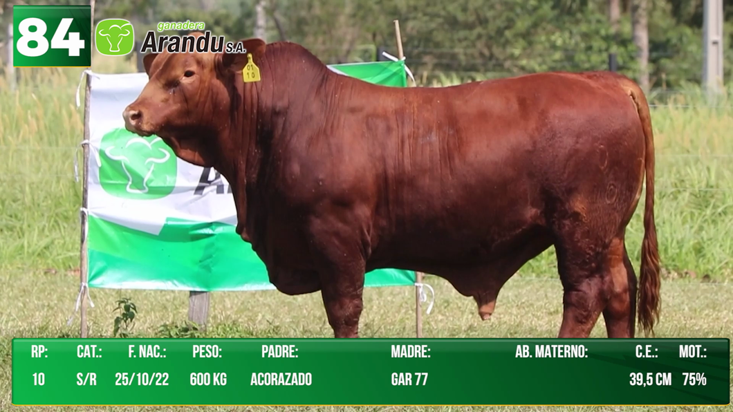 Lote LOTE 84