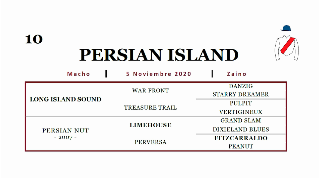 Lote PERSIAN ISLAND (LONG ISLAND SOUND - PERSIAN NUT)