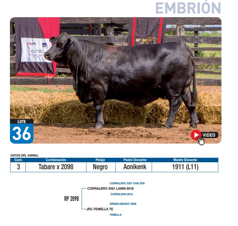 Lote Tabare x 2098