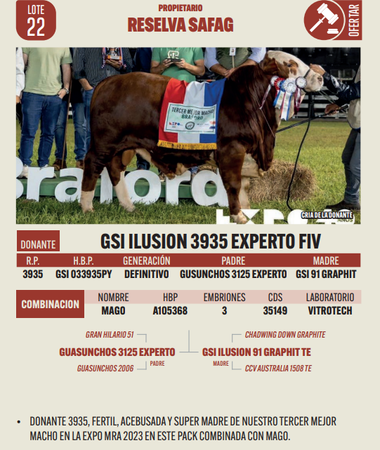 Lote LOTE 22