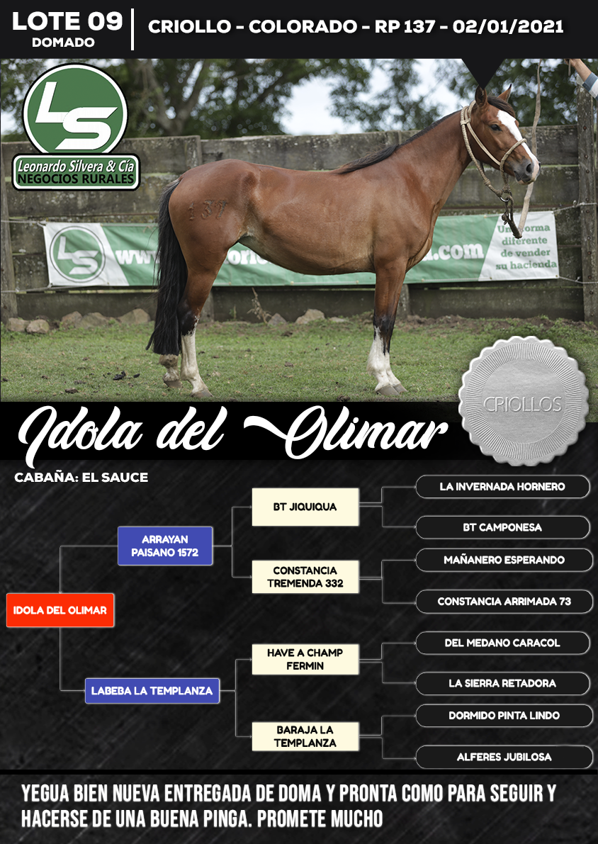 Lote IDOLA DEL OLIMAR