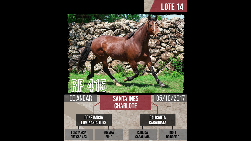 Lote SANTA INES  charlote