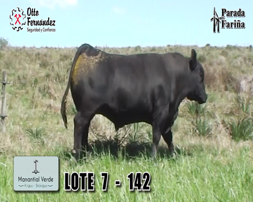 Lote LOTE 7