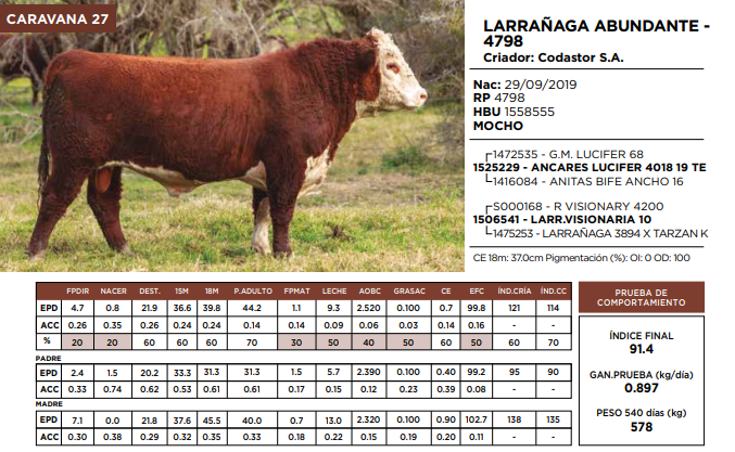 Lote LARRAÑAGA ABUNDANTE - 4798  (GRUPO 2)