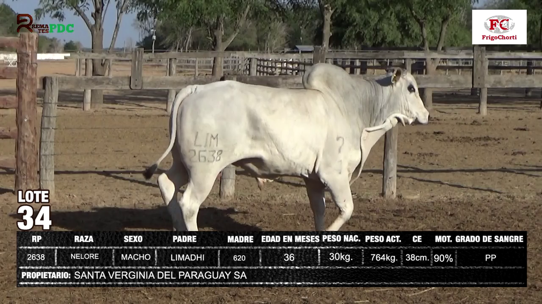 Lote SANTA VERGINIA DEL PARAGUAY SA