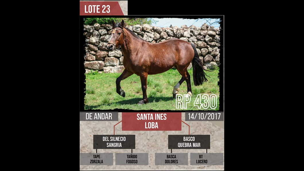 Lote SANTA INES LOBA