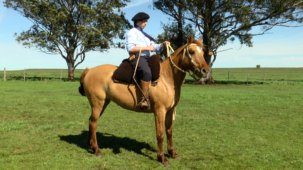 Lote VIAJERA LA CARRETA