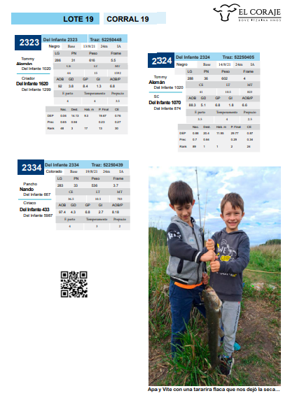 Lote Corral 19