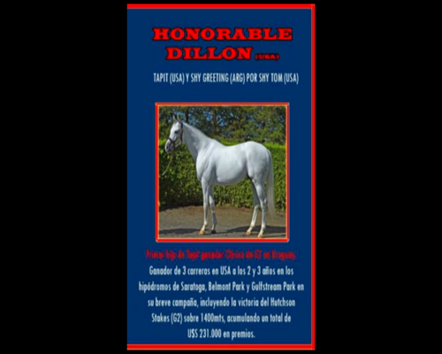 Lote HONORABLE DILLON