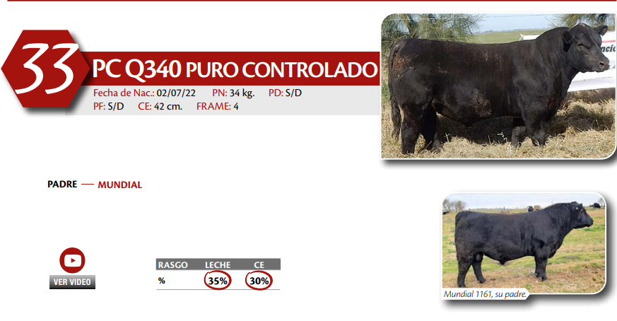 Lote MACHO PC