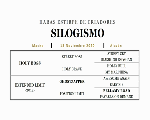 Lote SILOGISMO (HOLY BOSS - EXTENDED LIMIT)