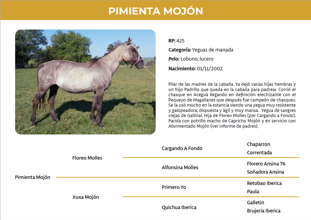 Lote Pimienta Mojón (RP 425)