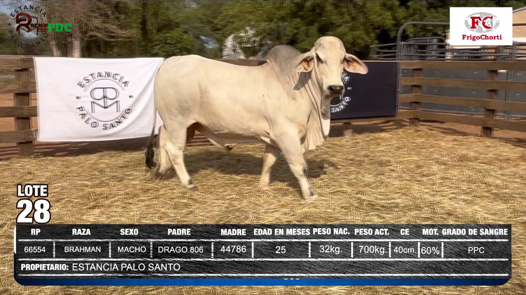 Lote ESTANCIA PALO SANTO