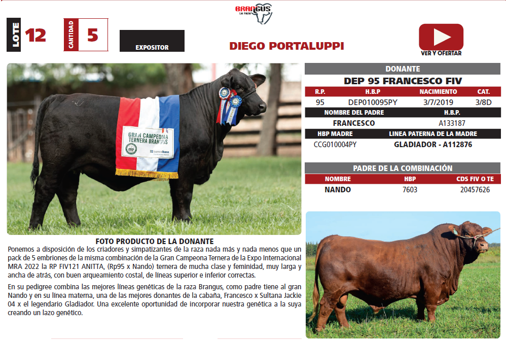 Lote LOTE 12
