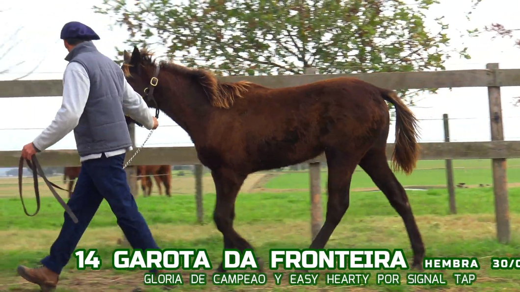 Lote GAROTA DA FRONTEIRA