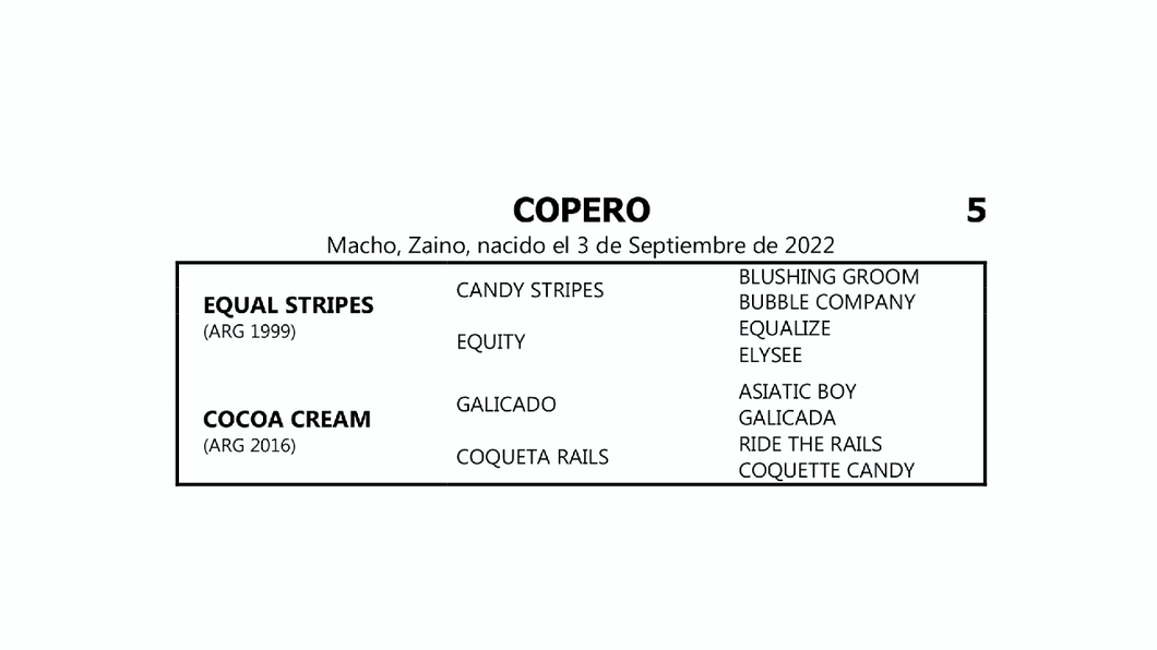 Lote COPERO (EQUAL STRIPES -  COCOA CREAM por GALICADO)