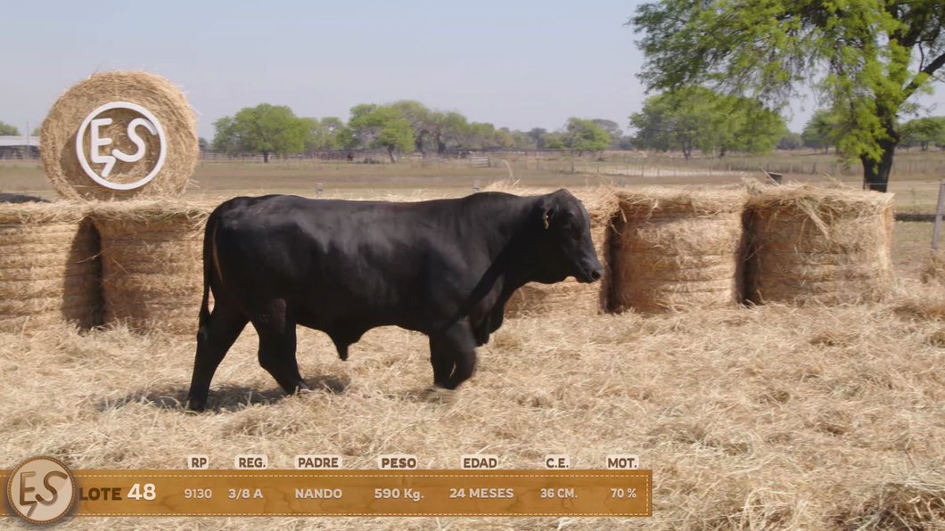Lote Toro