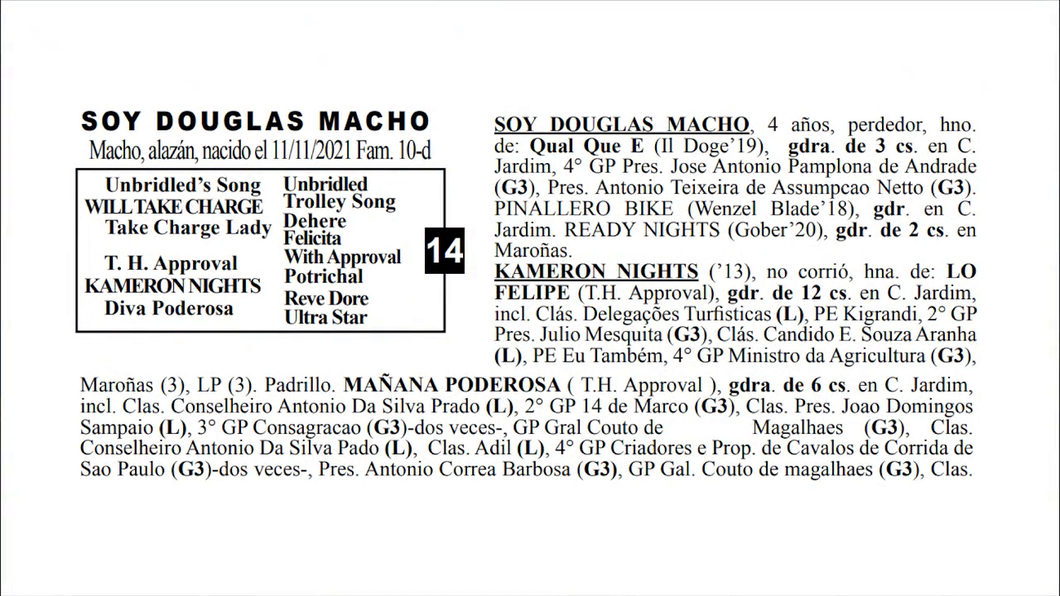 Lote SOY DOUGLAS MACHO