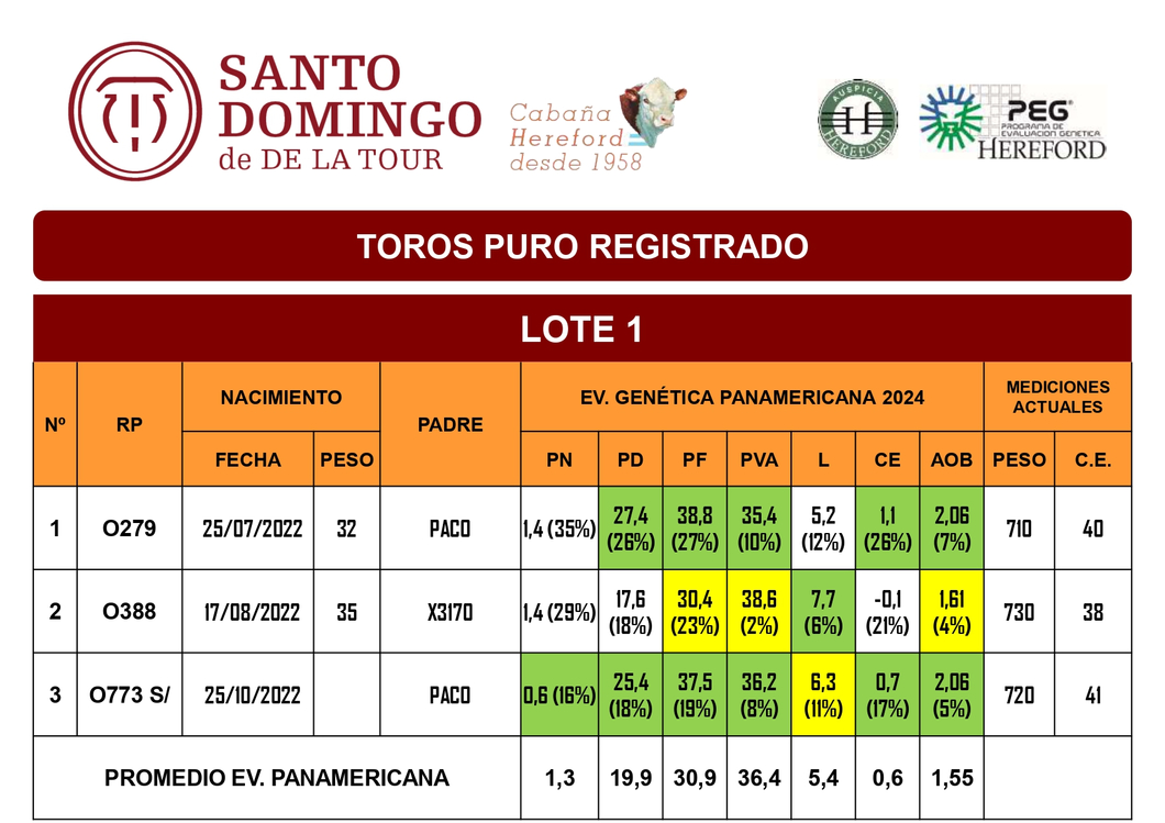 Lote TOROS PR (LOTES) - ( Incluye S/ )