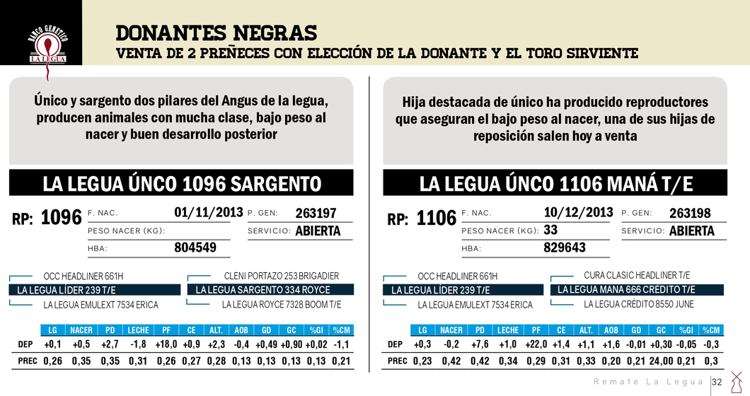 Lote DONANTES