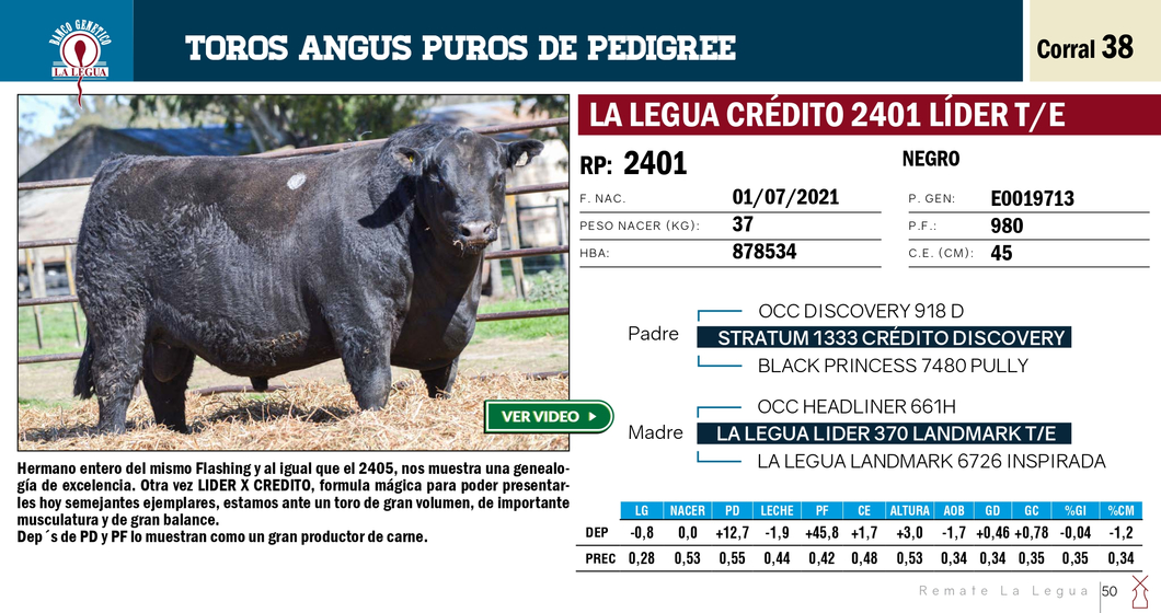 Lote TOROS ANGUS PP (RP 2401 SE VENDE EL 50%) (RP 2405 SE VENDE EL 100%)