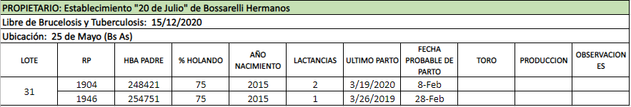 Lote lote 31