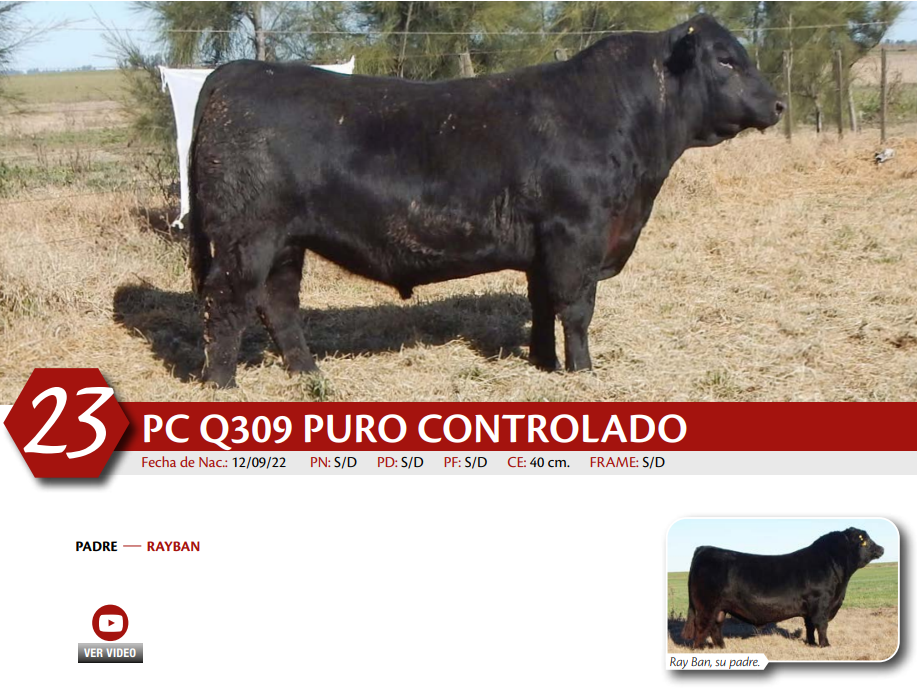 Lote MACHO PC