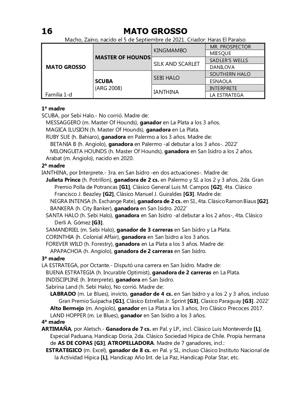 Lote MATO GROSSO