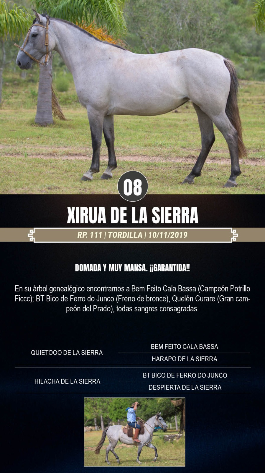 Lote Xirua de la Sierra