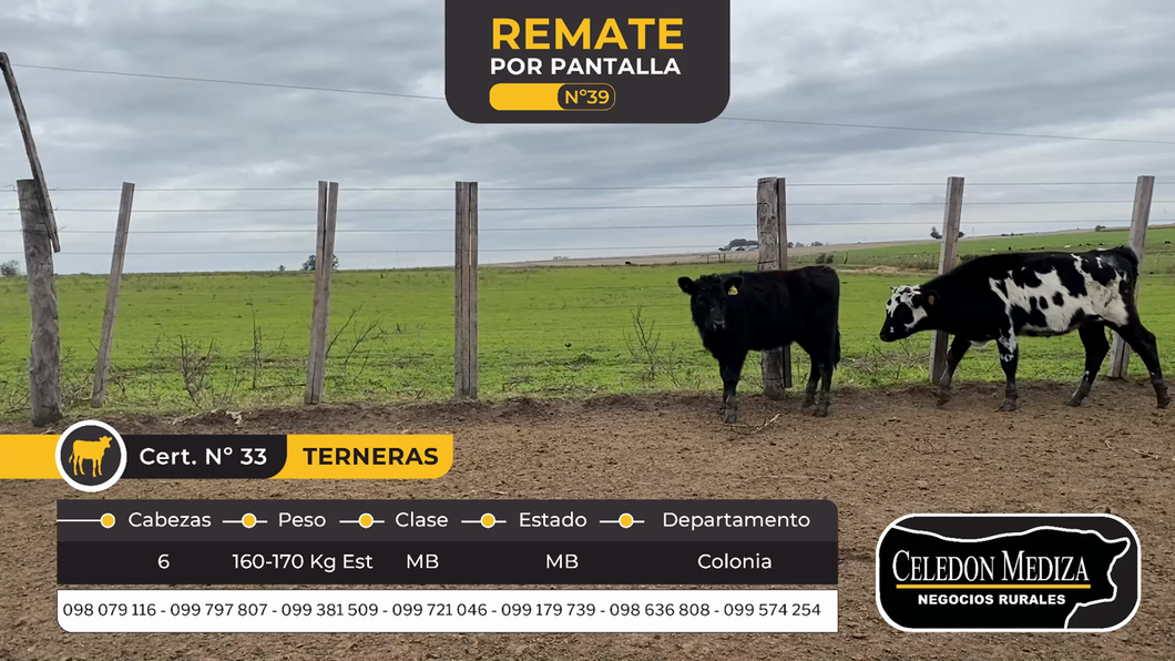 Lote 6 Terneros en La Horqueta, Colonia