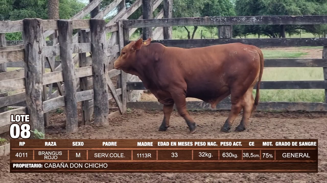 Lote Lote 8