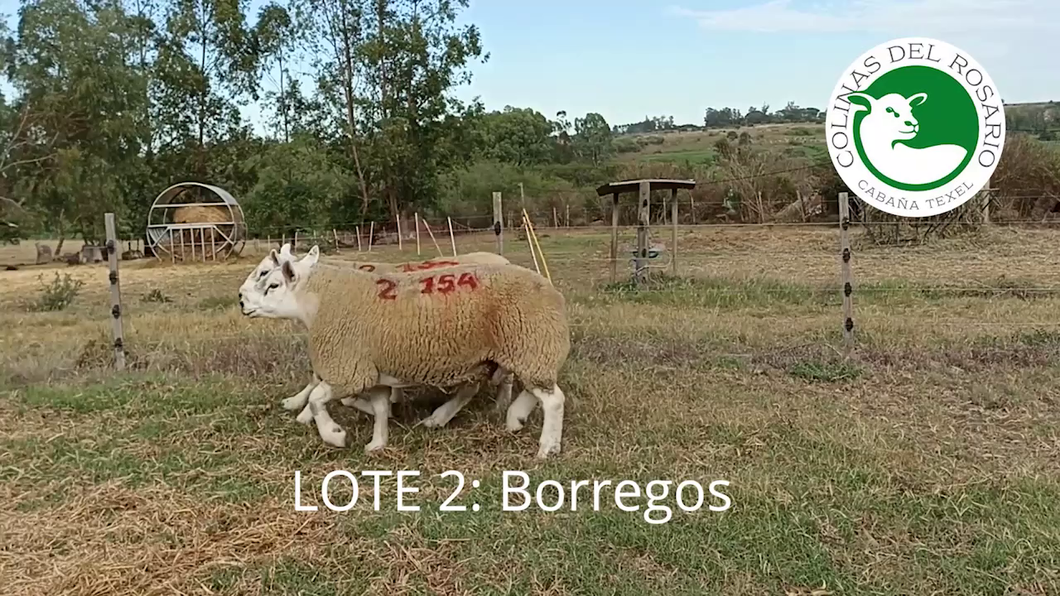 Lote Lote 2 - Colinas del Rosario