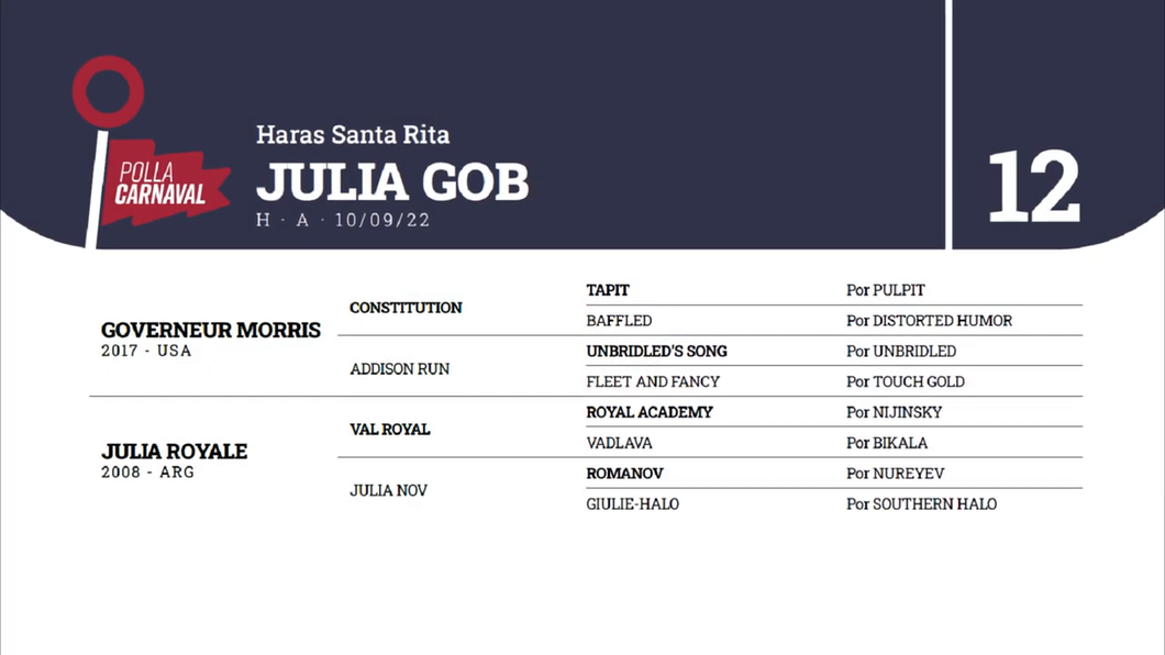 Lote JULIA GOB