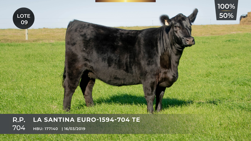Lote LA SANTINA EURO-1594-704 TE