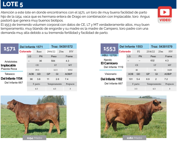 Lote Lote 5